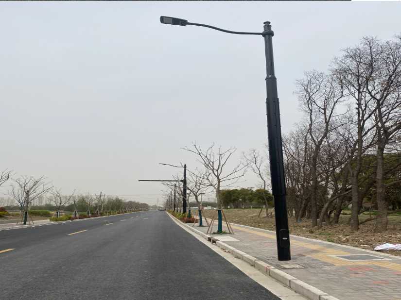 松原市上海综合杆 太阳能路灯工程